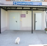 Талисман библиотеки - белый кот встречает гостей